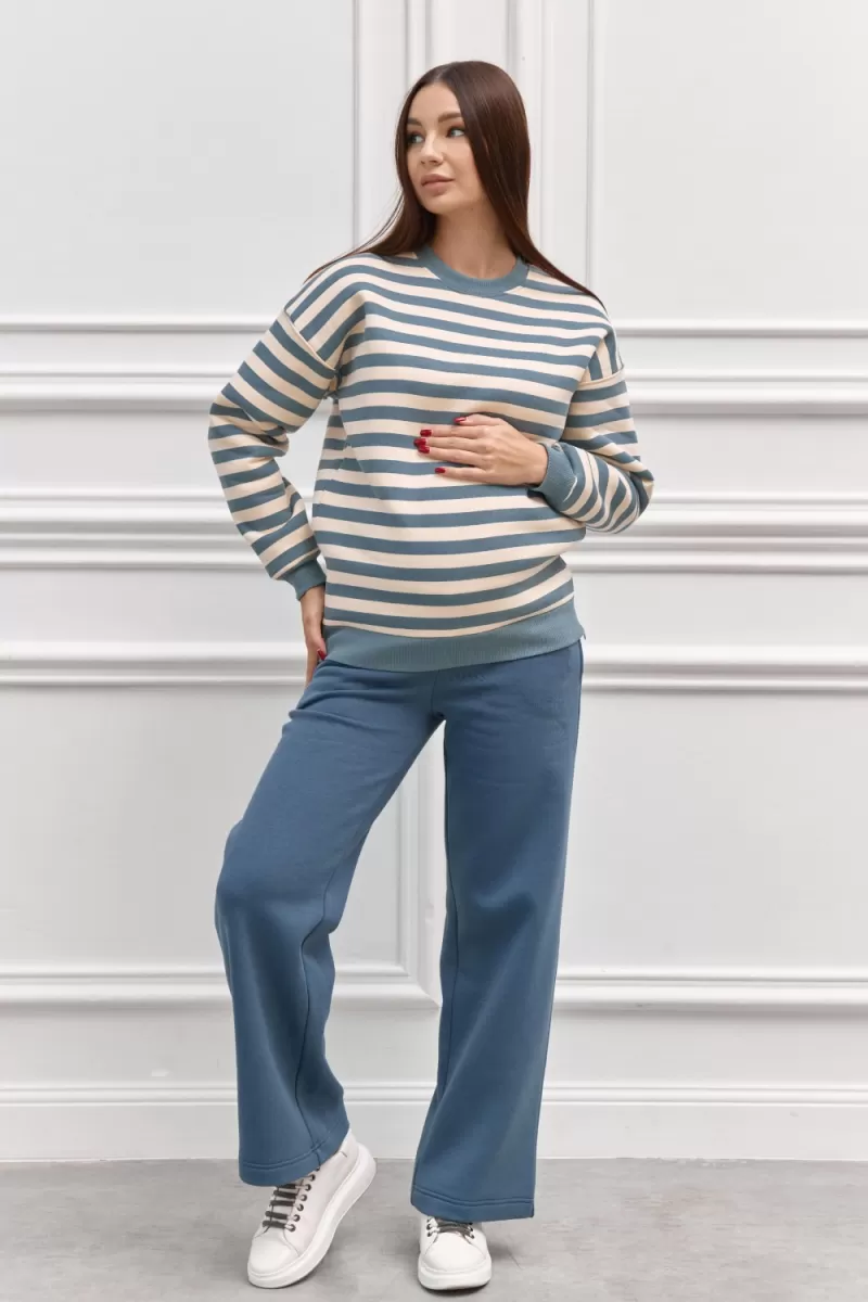 Світшот для вагітних та годуючих 2357 1484 темно-блакитний у смужку